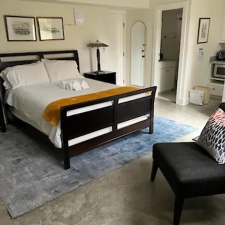 New Luxe Studio Cleveland Park Near Zoo